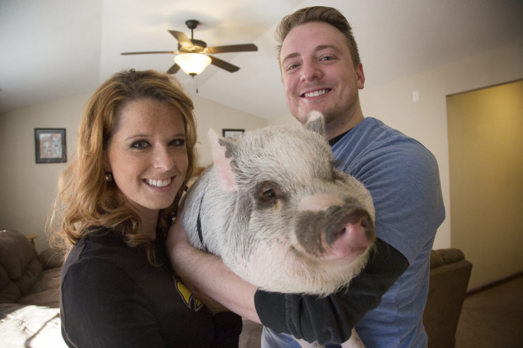 juliana pot belly pig